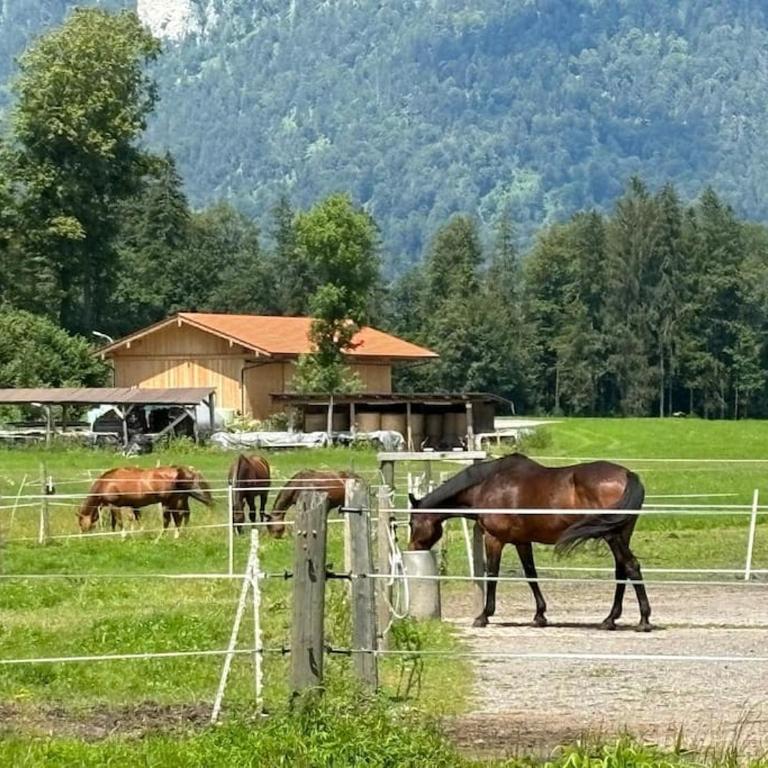 4 Star Maisonnette mit Kaiser Blick, Sauna, Schwimmbad - Maisonette - 14