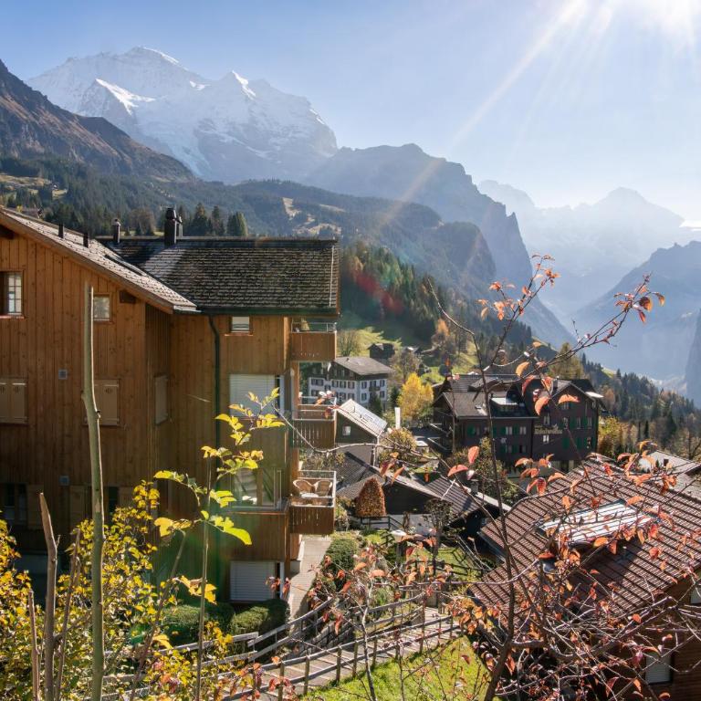 Chalet Sterndolde Apt 1 - Superior Apartment - 19