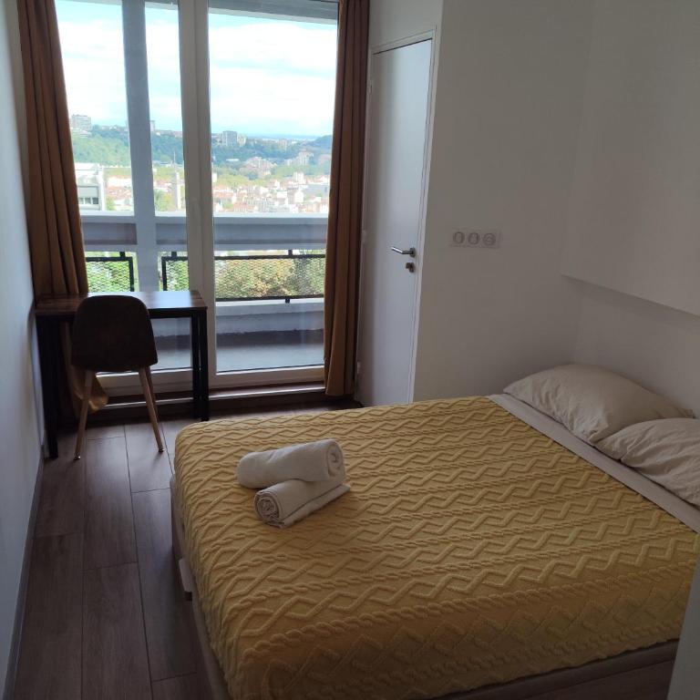 3 Chambres 3 Salles de bain Vue panoramique Lyon - Appartement avec Vue et Balcon - 8