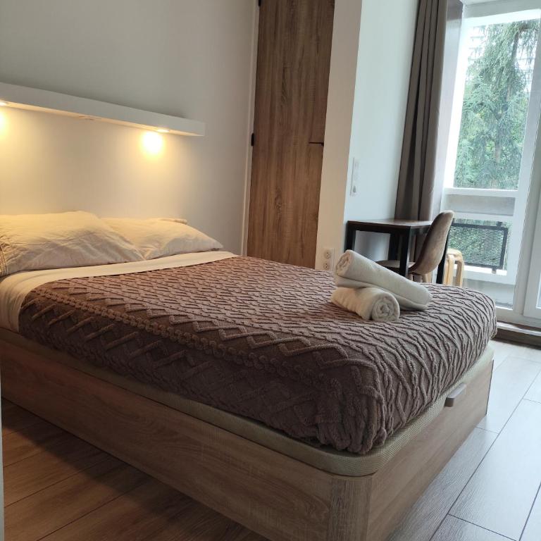 3 Chambres 3 Salles de bain Vue panoramique Lyon - Appartement avec Vue et Balcon - 10