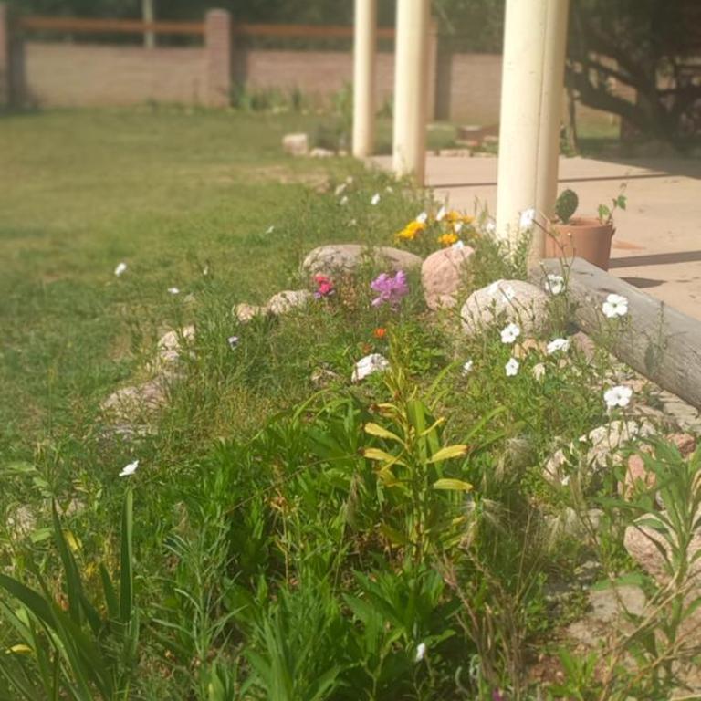 Cabaña Rincón de Afrodita - Casa con 1 dormitorio - 44