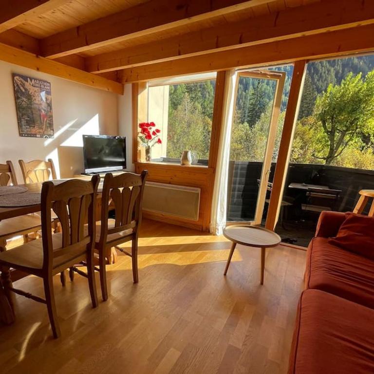 Duplex 4 pers vue MontBlanc , Grands Montets - Apartamento de 2 dormitorios - 2