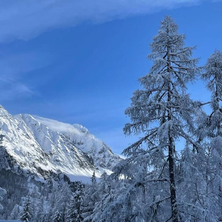 Duplex 4 pers vue MontBlanc , Grands Montets - Apartamento de 2 dormitorios - 6