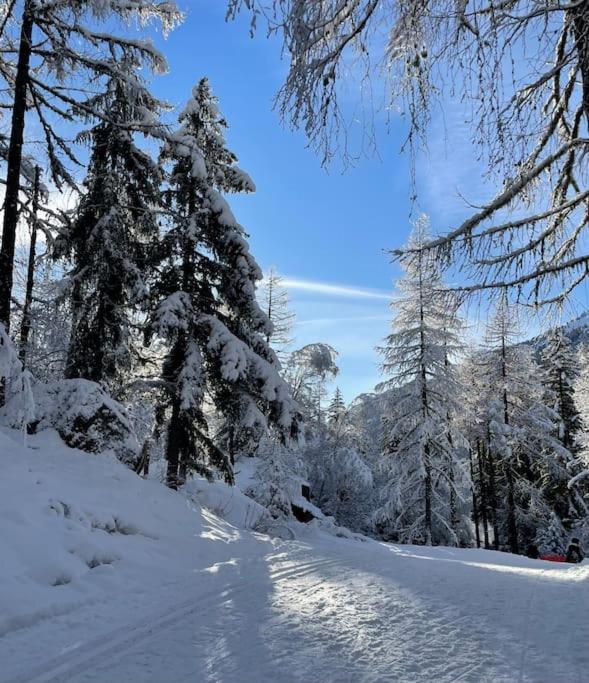 Duplex 4 pers vue MontBlanc , Grands Montets - Apartamento de 2 dormitorios - 9