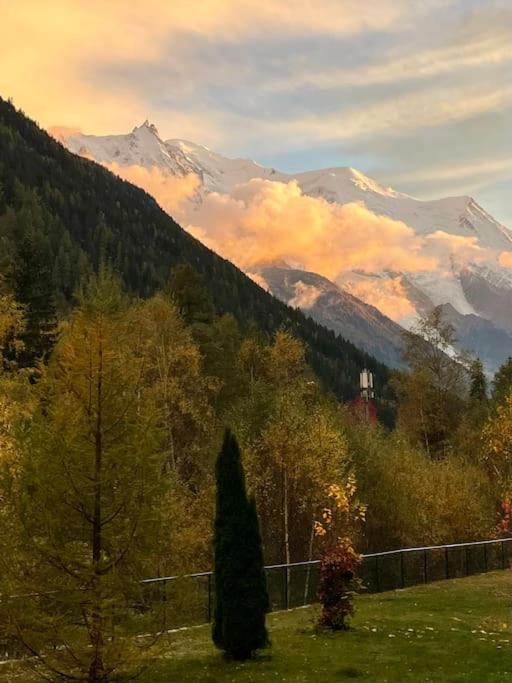 Duplex 4 pers vue MontBlanc , Grands Montets - Apartamento de 2 dormitorios - 10