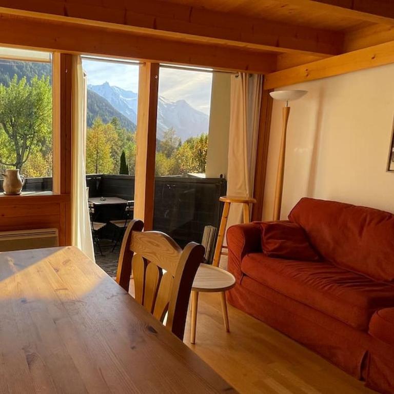 Duplex 4 pers vue MontBlanc , Grands Montets - Apartamento de 2 dormitorios - 18