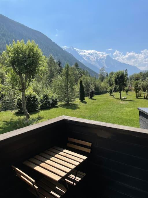 Duplex 4 pers vue MontBlanc , Grands Montets - Apartamento de 2 dormitorios - 20