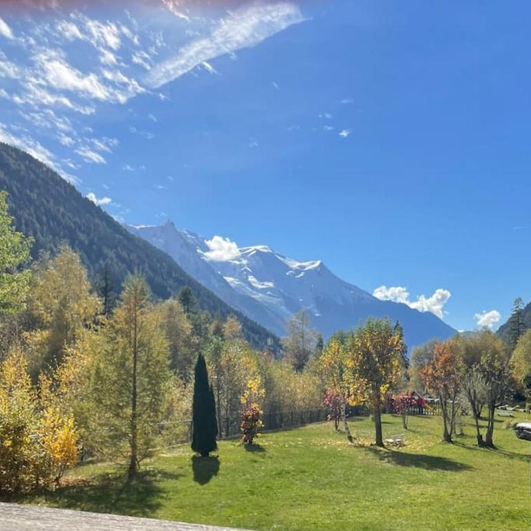 Duplex 4 pers vue MontBlanc , Grands Montets - Apartamento de 2 dormitorios - 25
