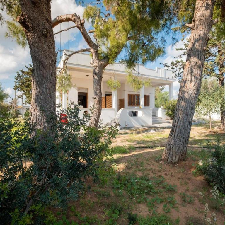 Sunrise Apartment in Villa With Private Parking and Air Conditioning - Vacation Home - 17