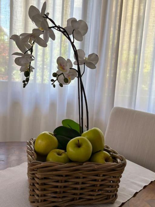 Boutique Apartment in the heart of Montecatini - Apartment mit 1 Schlafzimmer - 17