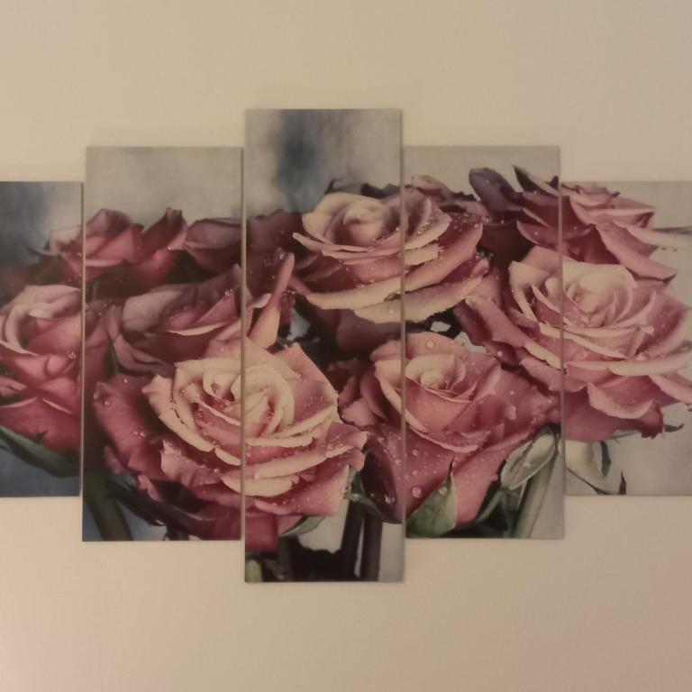 Nine Roses - Apartman sa 1 Spavaćom Sobom - 5