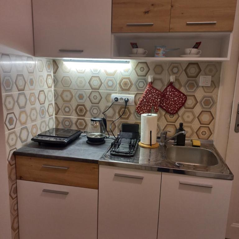 Nine Roses - Apartman sa 1 Spavaćom Sobom - 10