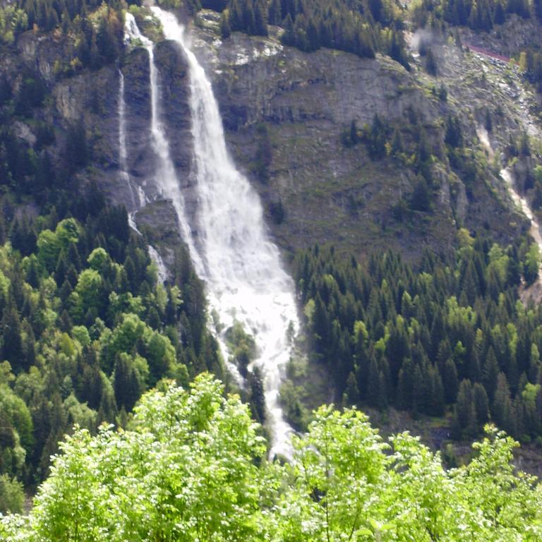 L'Aigle Royal - Studio - Rez-de-chaussée - 45