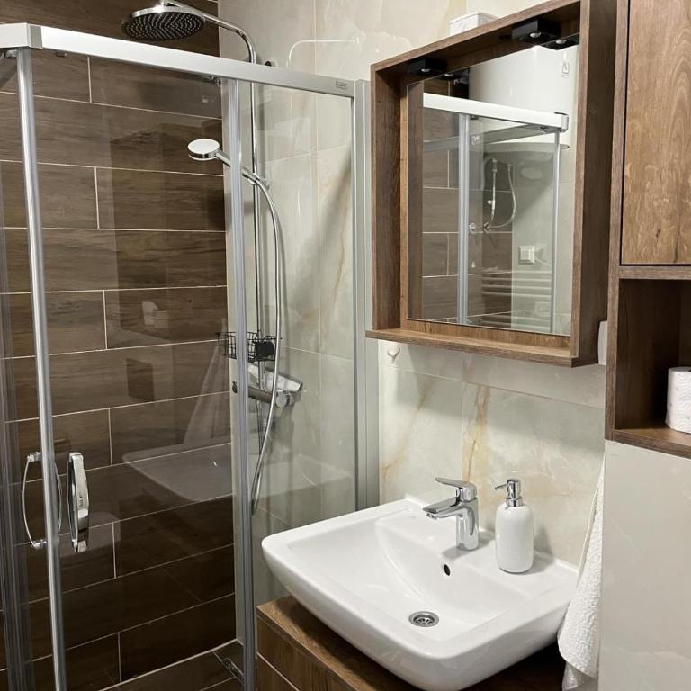 Apartman DAVID - Apartman sa 1 Spavaćom Sobom - 7