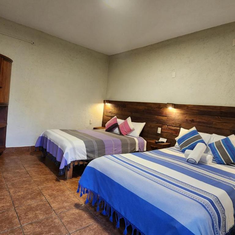 Arte Sano Hotel San Cristobal - Twin Room - 5