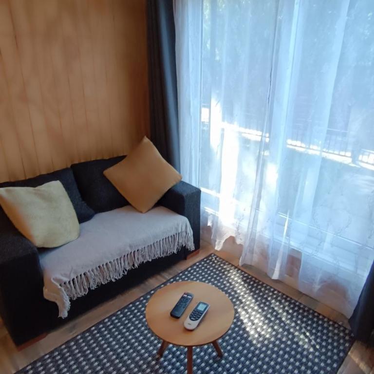 Apartamentos Álamos de Llancahue - Apartamento de 2 dormitorios - 1