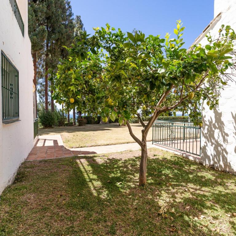 Apartment in Mijas Costa near Beaches - Apartamento de 1 dormitorio - 25