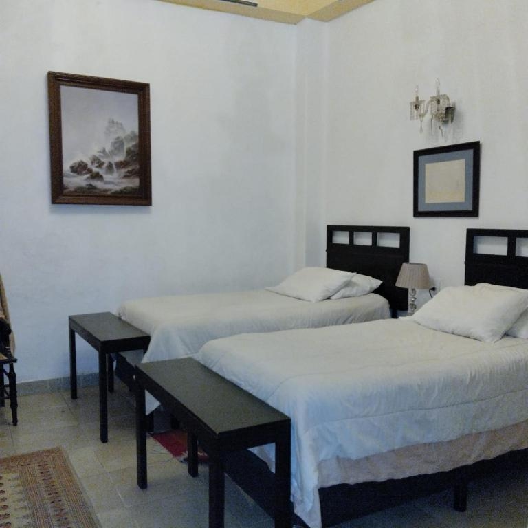 Casa Reforma en Oaxaca, México - Deluxe Two-Bedroom Apartment with Garden View - 2