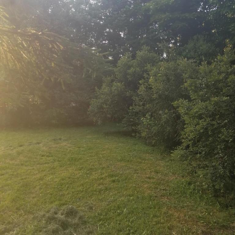 Cisnes del tolten - Two-Bedroom Apartment - 30