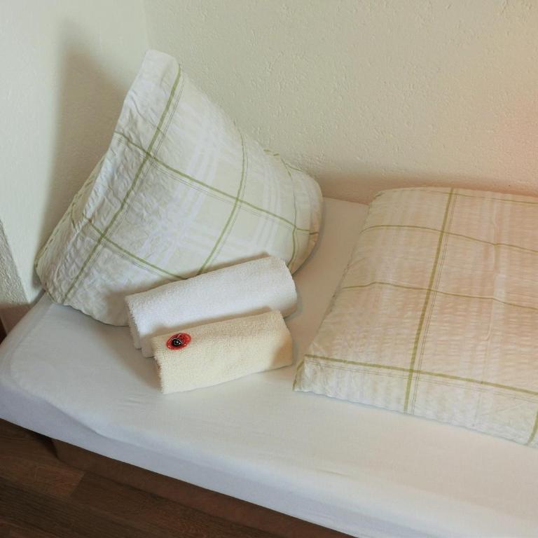 Appartement Alpenhof Wildschönau - Studio mit Balkon – Dachgeschoss - 12