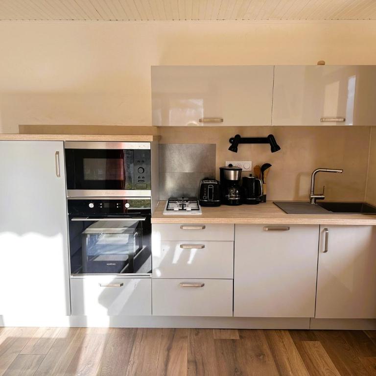 Joli 2 pièces avec jardin près téléski, 4 pers. - FR-1-464-245 - Appartement - 3