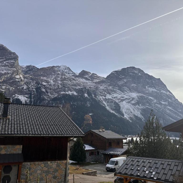 Joli 2 pièces avec jardin près téléski, 4 pers. - FR-1-464-245 - Appartement - 9