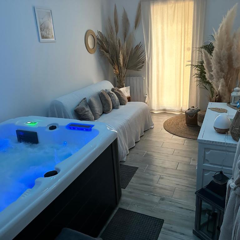 Cocon Classé 3 Etoiles - Love et Détente - SPA - Villa 1 Chambre - 7