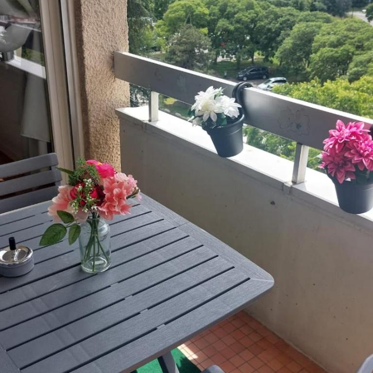 cosy pres de la cepiere - Apartment mit 1 Schlafzimmer - 7