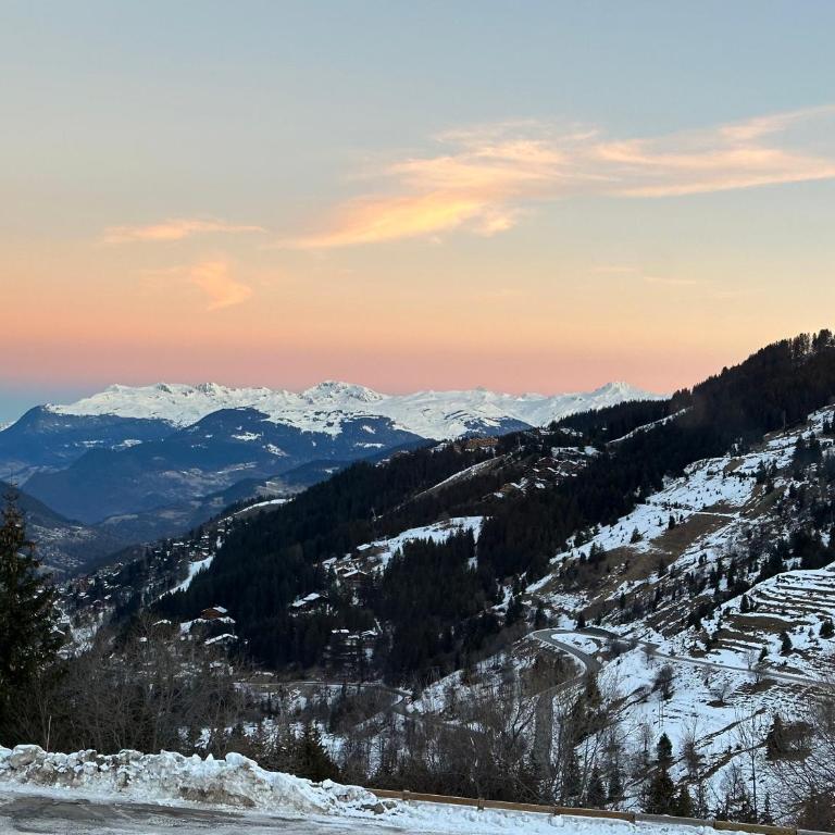 Les Balcons de l'Aigle Les Chalets Meribel, 100m from ski lift Les Chalets - Appartement - 24