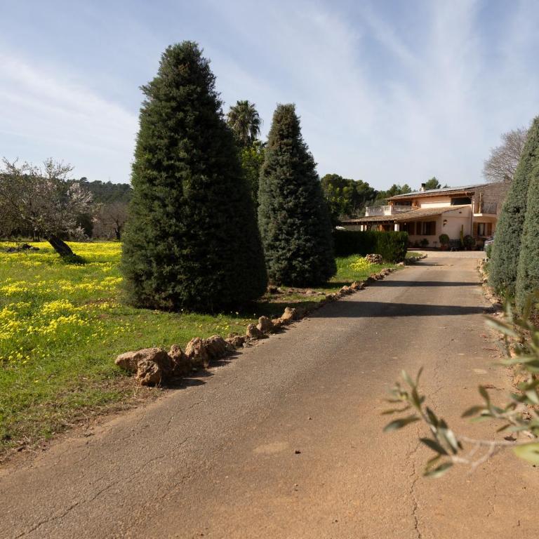 Villa Can Font - Casa de 3 dormitorios - 2