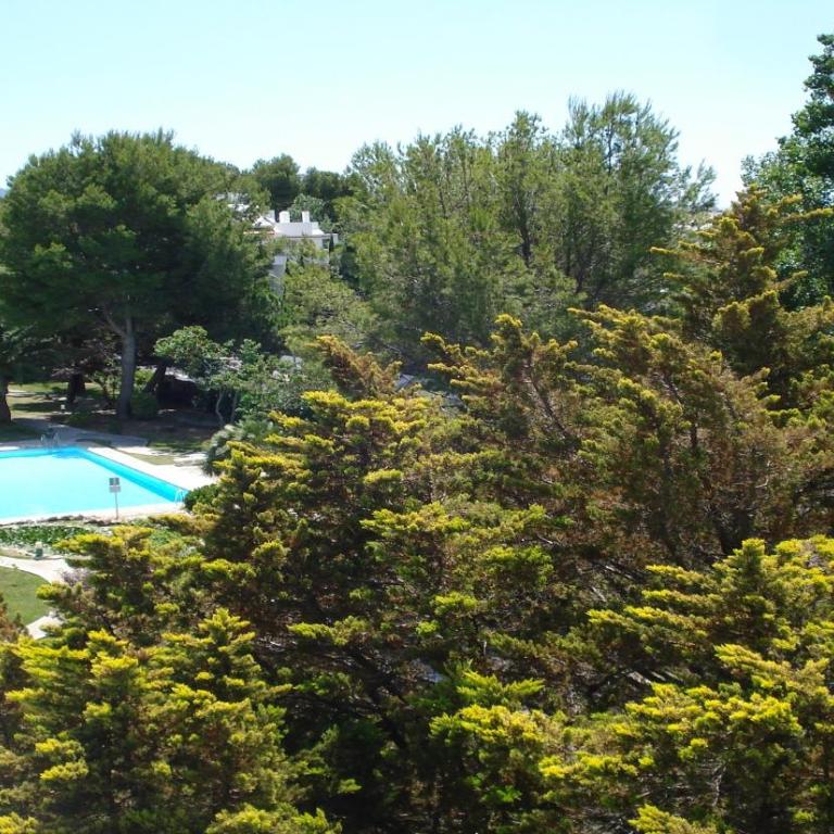 Lovely Penthouse Apartment in Bellresguard - Apartamento de 4 dormitorios con vistas a la piscina - 22