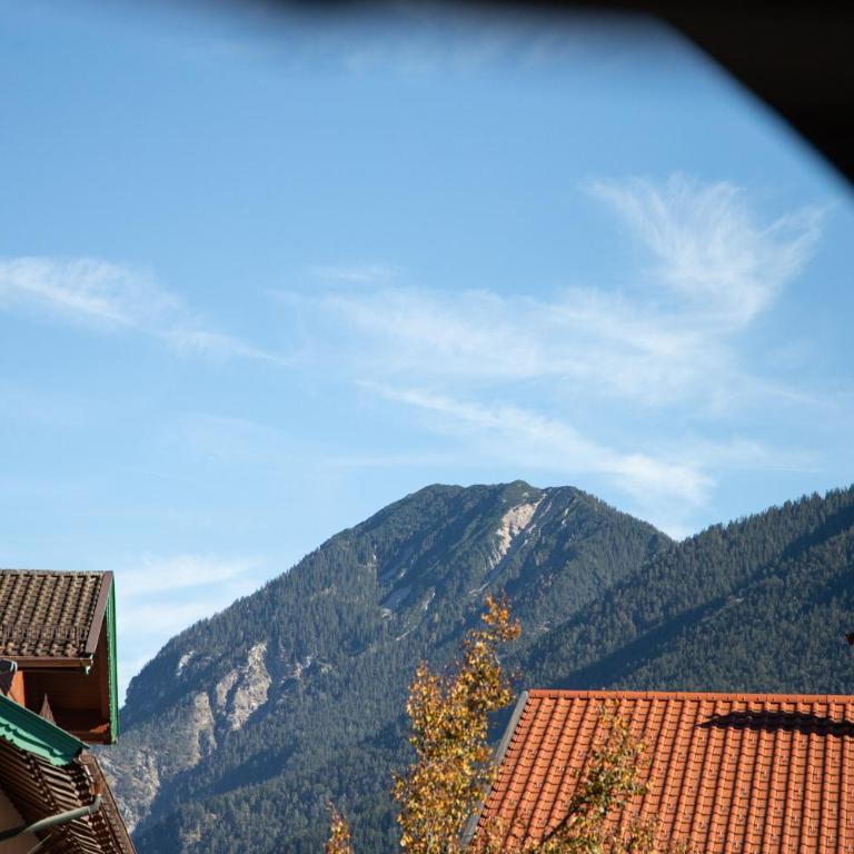 Alpenherz - Appartement avec Vue sur la Montagne - 49