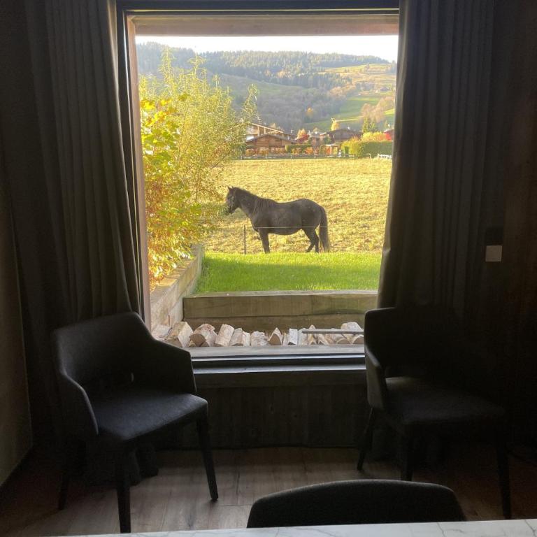 Chalet Esquinade 4 bedrooms appartment Megève - Appartement - 3