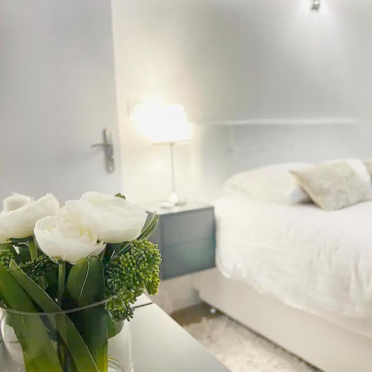 L'Ecrin: Appartement de charme en cœur historique - Appartement 1 Chambre - 15