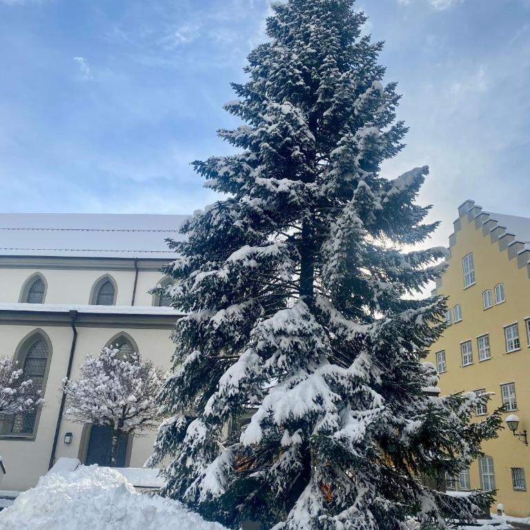 Schöne Wohnung in der Altstadt - Apartment mit 1 Schlafzimmer - 78
