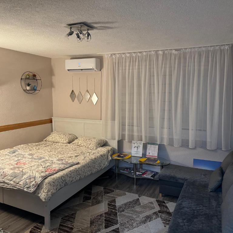 T&N Studio-Center-Free parking,AC,Train-Bus station - Apartman - 7