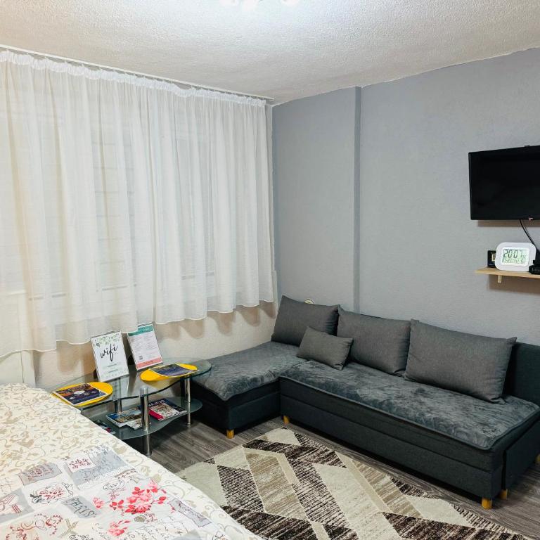 T&N Studio-Center-Free parking,AC,Train-Bus station - Apartment - 5