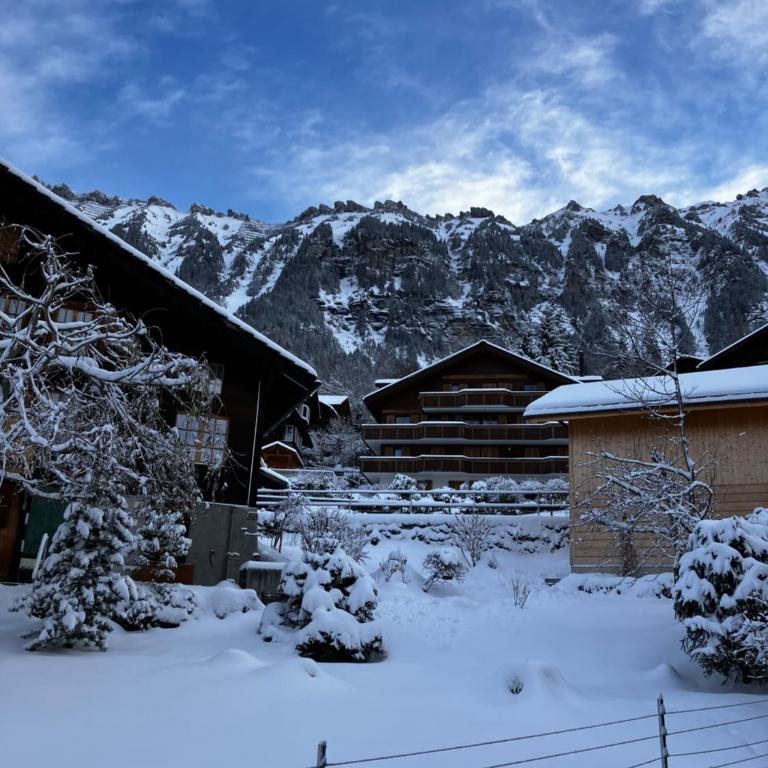 Chalet Alpina Gyger - Superior Zimmer mit Kingsize-Bett - 25