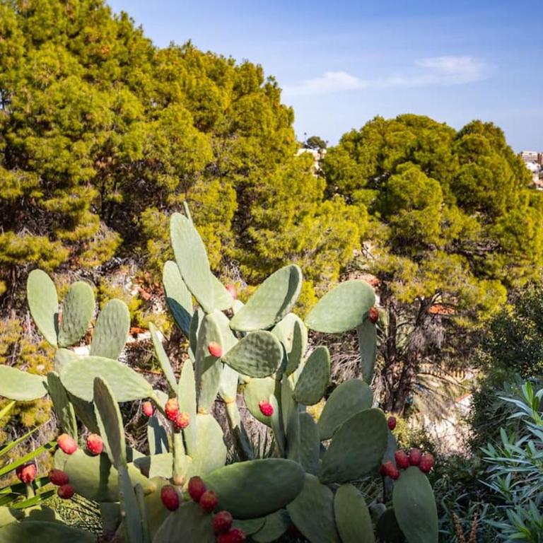 Spanish Style-Villa, heated pool & sea view - Villa con piscina privada - 32