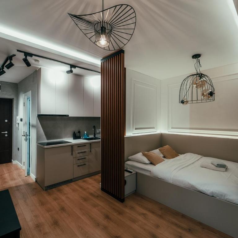 Luxury studio in city center - Apartman sa 1 Spavaćom Sobom - 5