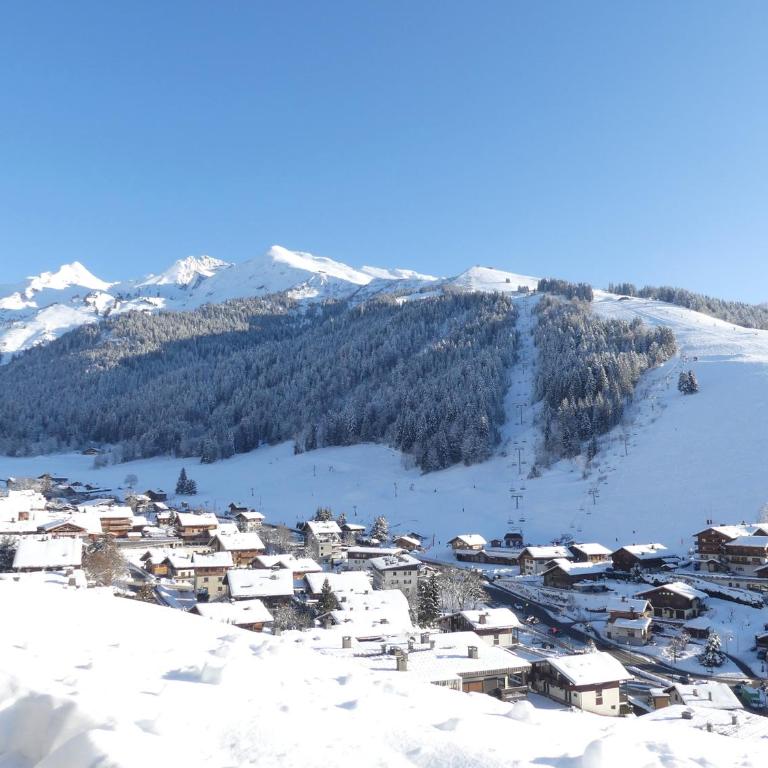 OURS BLANC 20 Appartement 4 pers avec belle vue - Appartamento con Vista Montagna - 9