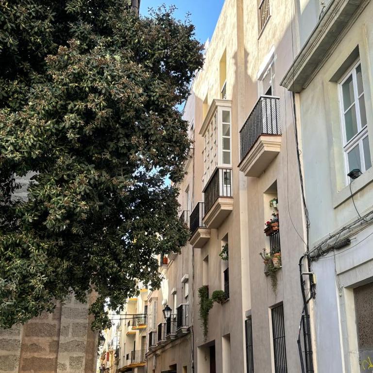 LUMINOSO APARTAMENTO en el centro de Cádiz - Apartamento de 2 dormitorios - 39