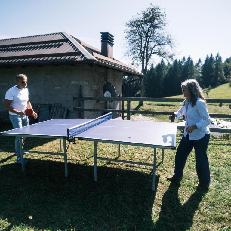 Chalet Maso Pino - Four-Bedroom Chalet - 25