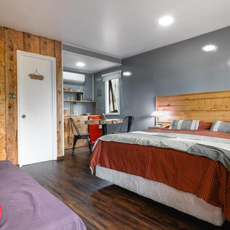 Pucón REC-Lodge Cabañas Las Bandurrias - Apartamento de 1 dormitorio - 11
