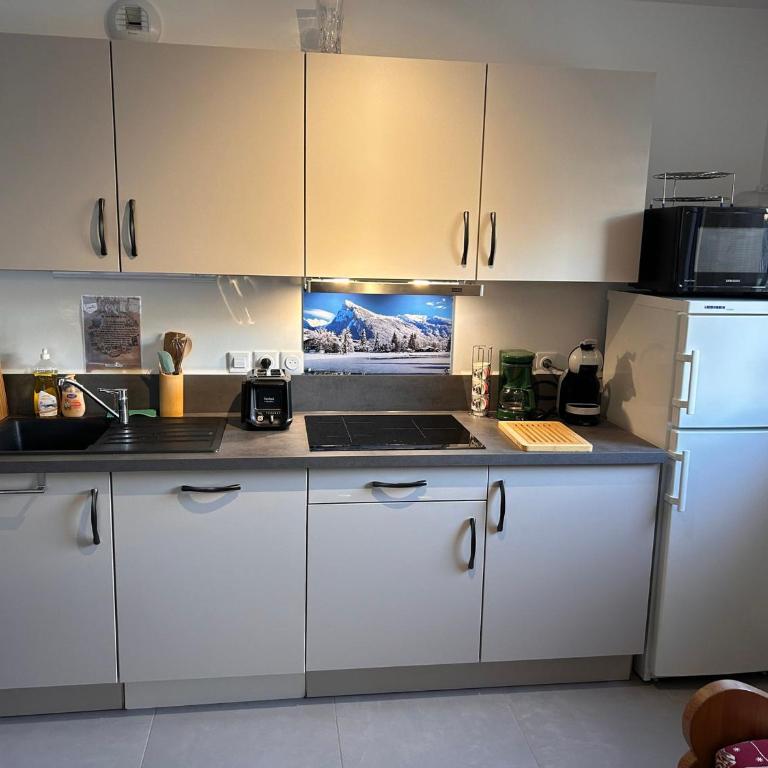 Appartement neuf avec balcon et navette pour le ski - FR-1-624-113 - Apartment - 14