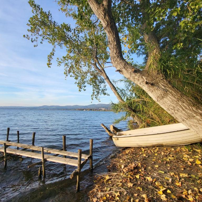 La Traversa Di Bolsena - Villa Superior - 17