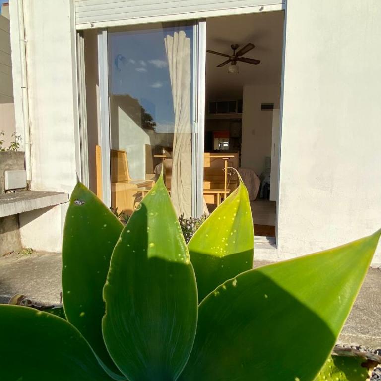 Monoambiente “Lo de Tere” - Apartamento de 1 dormitorio - 13