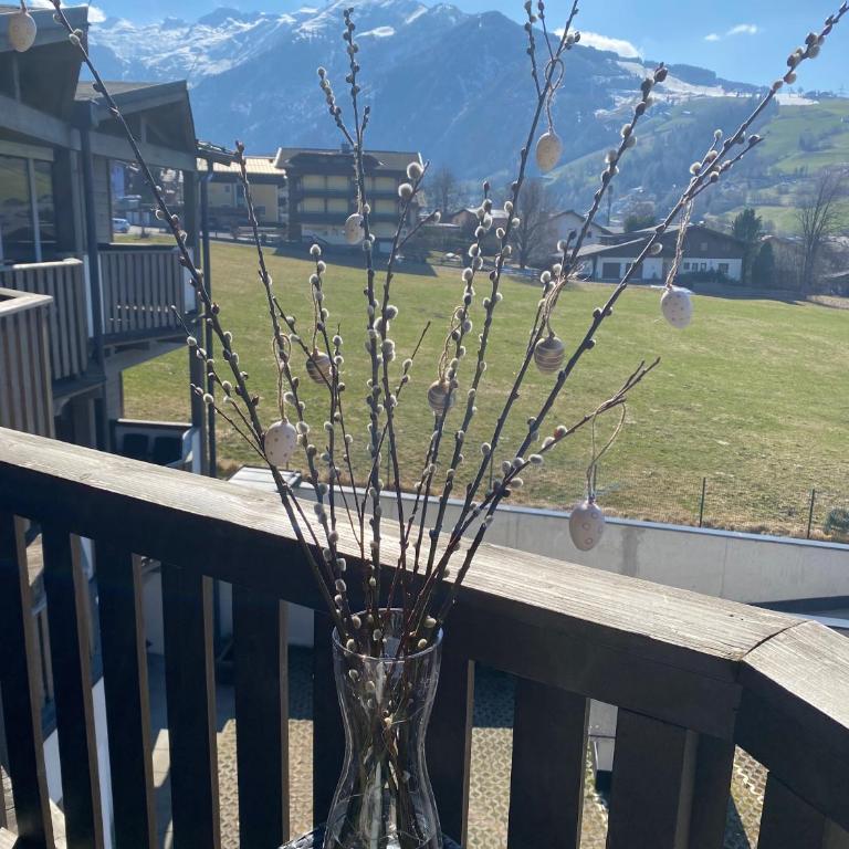 Apartment Lasch in Adler Resort including the Zell am see Kaprun summer card - Apartment mit 3 Schlafzimmern und 2 Balkonen - 66