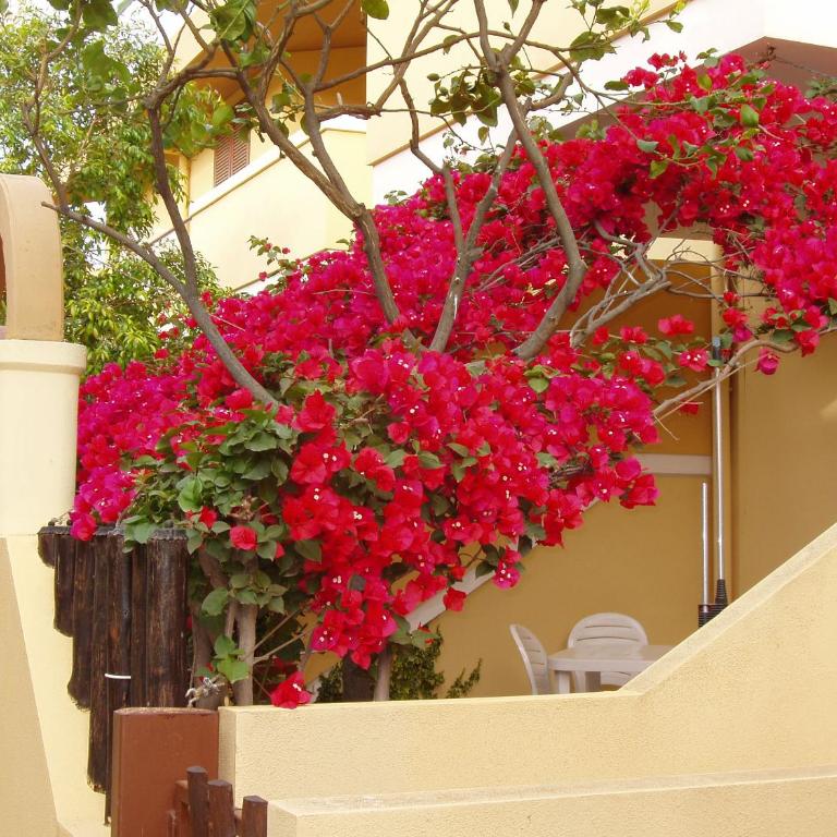 Villetta Gaia - One-Bedroom House - 2