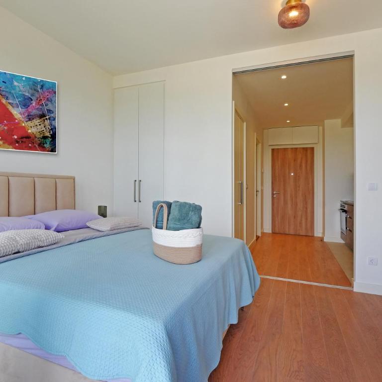 Aqua St Regis view - Apartman sa 1 Spavaćom Sobom - 6